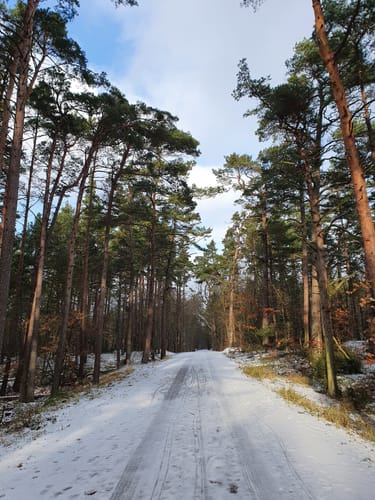 Darßer Ort ab Prerow