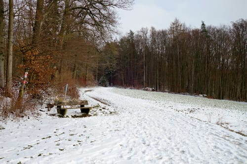 Enzenreuth und Bondorf