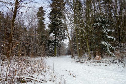 Enzenreuth und Bondorf
