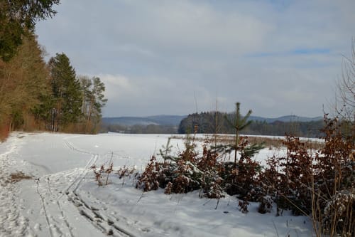 Enzenreuth nach Entmersberg