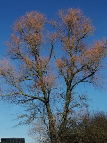 Von Heiligenrode zum Kalkbergsee