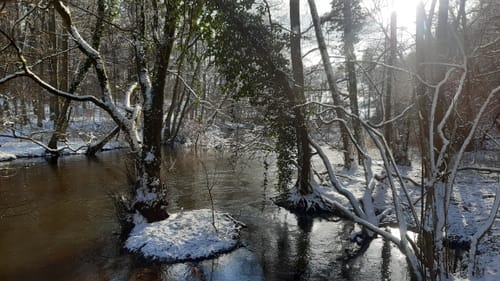 Naturlehrpfad Durchbruchstal der Warnow und der Mildenitz
