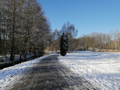 In Wald und Flur bei Finkenkrug