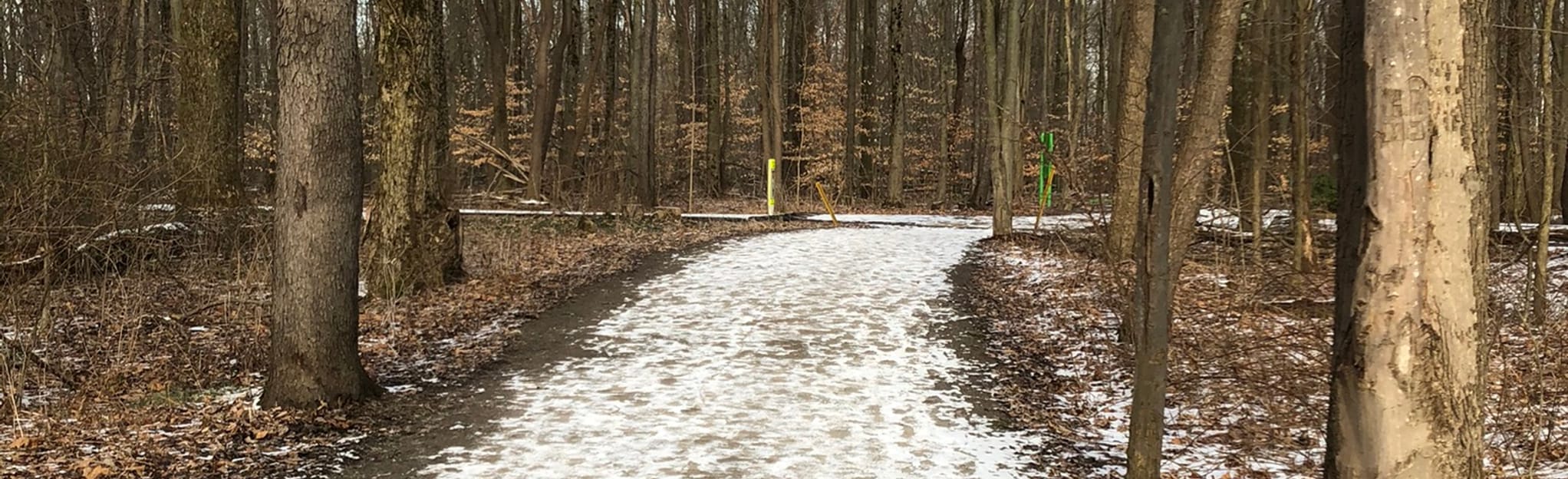 Pearson Park Loop: 46 Reviews, Map - Pennsylvania | AllTrails