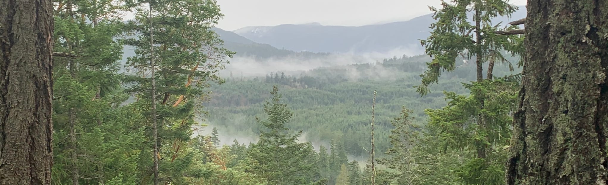 Mount Wood Summit 10 Reviews, Map British Columbia, Canada AllTrails