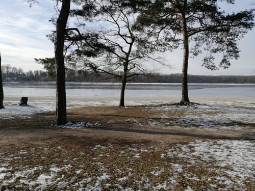 Um den Gorinsee zur Schönower Heide