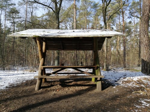 Um den Gorinsee zur Schönower Heide