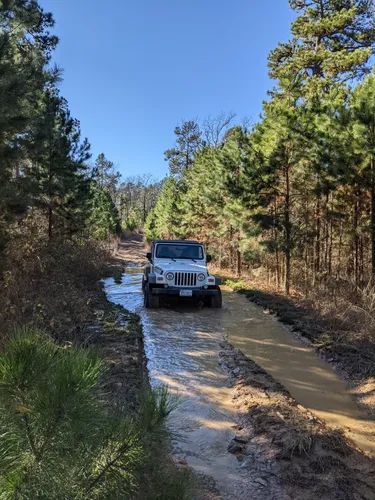 Enduro trails near discount me