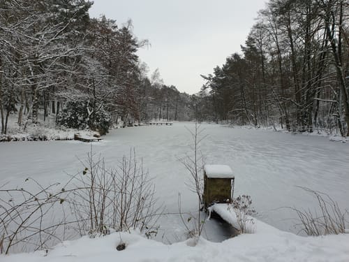 In die Weseler Heide