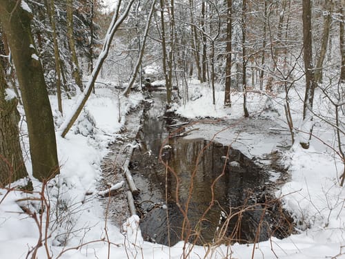 In die Weseler Heide