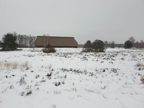 In die Weseler Heide