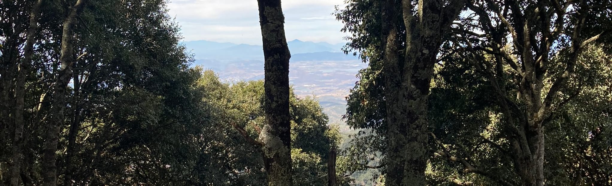 Circuito Filo del Cerro Viejo 18 Fotos Jalisco, Mexiko AllTrails