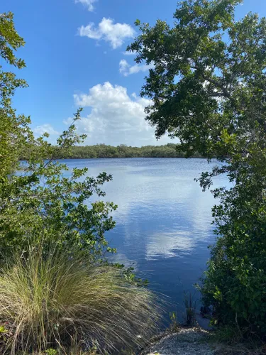 Best Hikes and Trails in J.N. Ding Darling National Wildlife Refuge ...