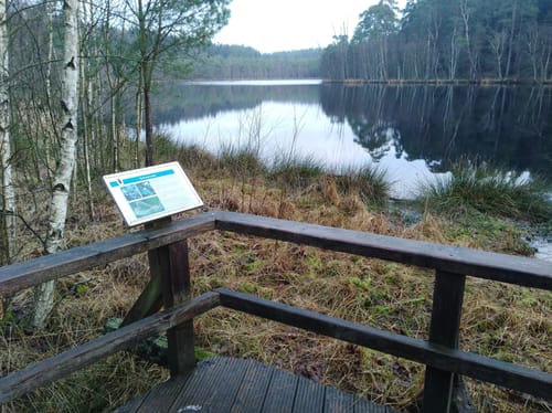 Drüsensee im Hellbachtal