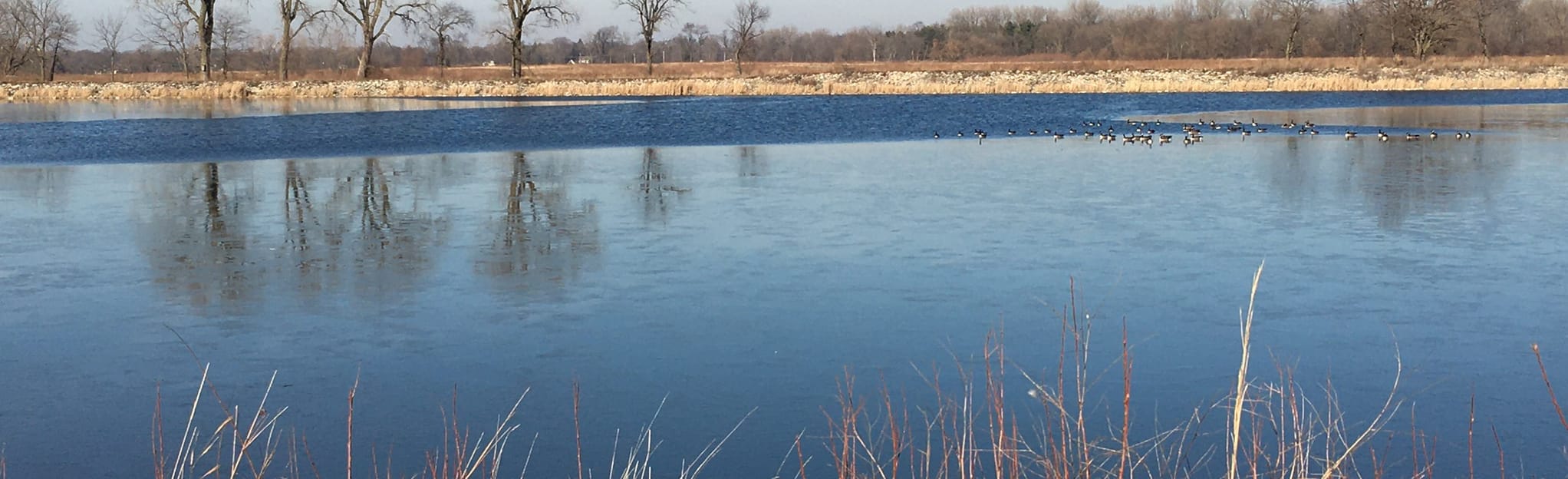 Cornerstone Lakes Park Loop 20 Reviews, Map Illinois AllTrails