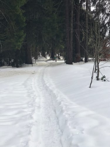Nordic Walking Fitness Route Buchenberg/Eschach