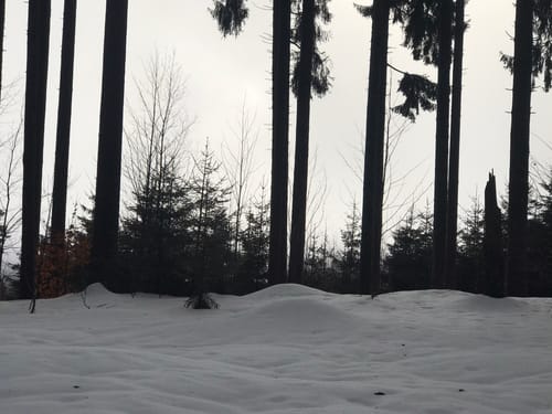 Nordic Walking Fitness Route Buchenberg/Eschach