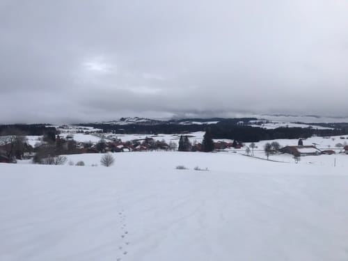 Schneeschuhwanderung Eschacher Weiher