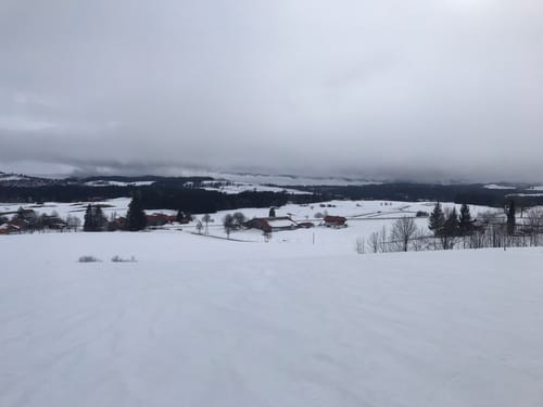 Schneeschuhwanderung Eschacher Weiher
