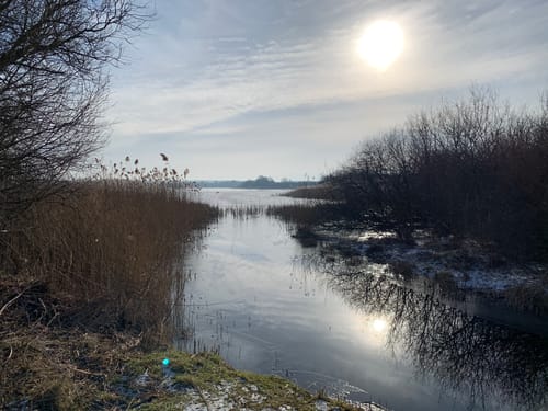 Idstedter Wald und Naturpark Schlei