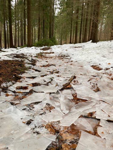 Zur Talsperre Stollberg über Bürgerwald
