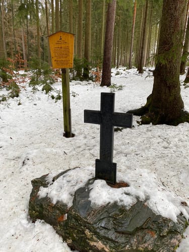 Zur Talsperre Stollberg über Bürgerwald