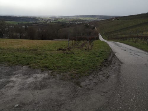 Runde zum Steinbruch Dietlingen