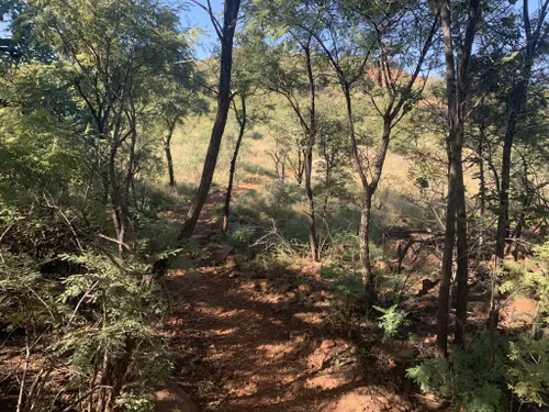 10 Must-Try Hiking Trails in Gauteng - Gauteng News