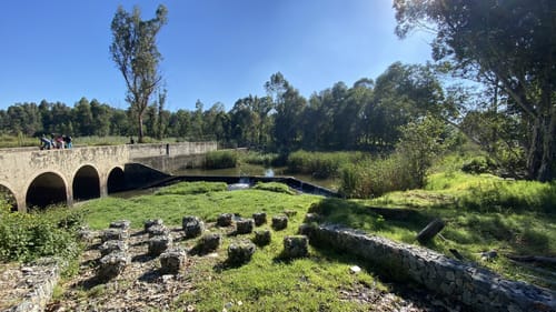 Best Hikes and Trails in Modderfontein Nature Reserve | AllTrails