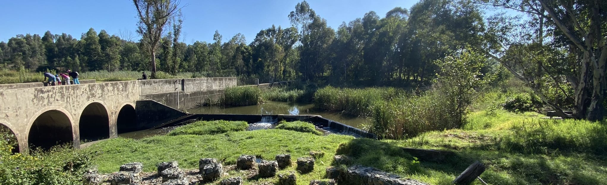 Modderfontein Dam Loop 431 foto Gauteng, Sudafrica AllTrails