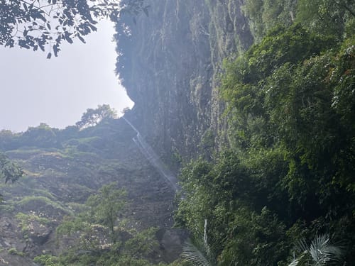 Best Hikes and Trails in Someshwara Wildlife Sanctuary AllTrails