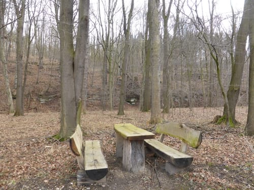Von Ossig über den Märzenbecherweg