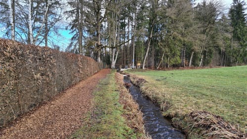 Geblisberg ab Steegersee