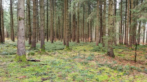 Geblisberg ab Steegersee