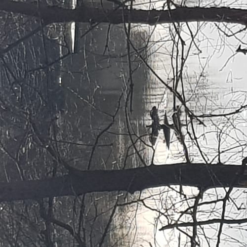 Ziegenwerder Runde