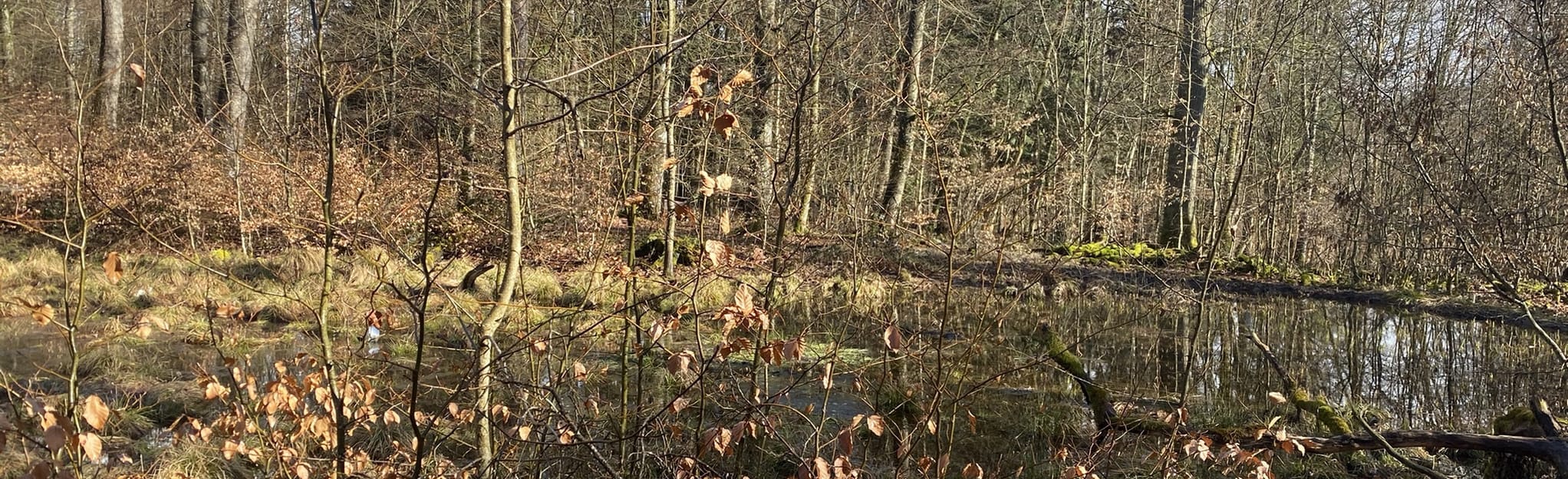 N5 Nommern, Luxembourg, Luxembourg 15 Reviews, Map AllTrails