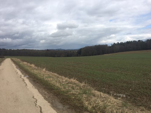 Auf dem Bubenreuther Hochwasserweg