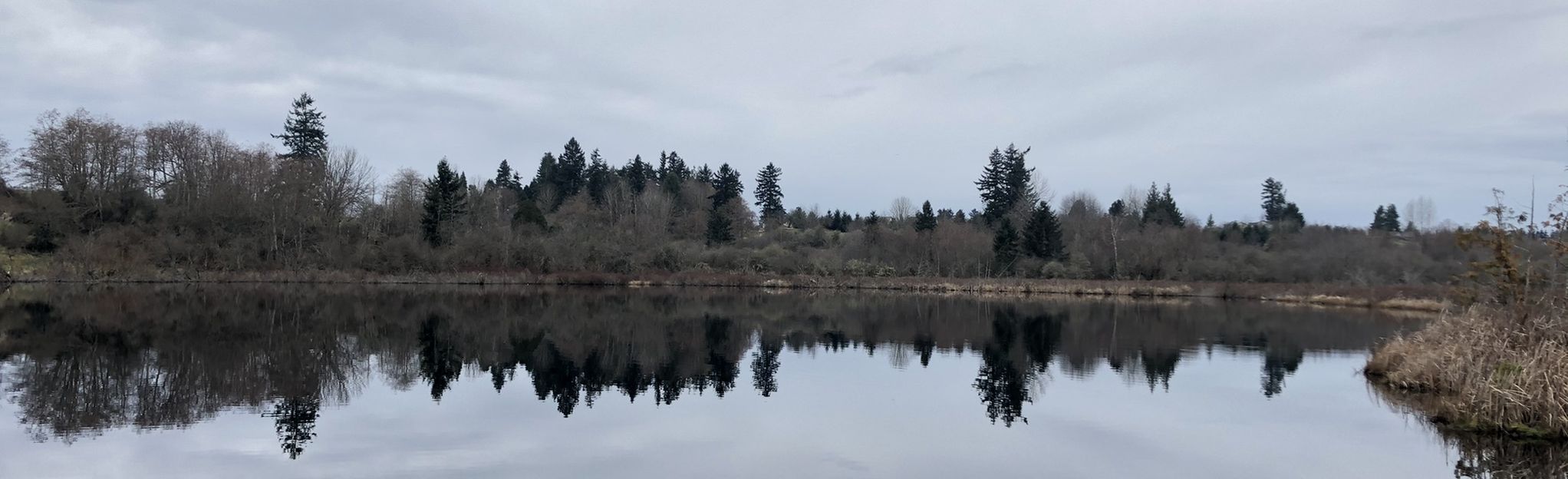 Clark Lake Park from 248th Street, Washington - 47 Reviews, Map | AllTrails