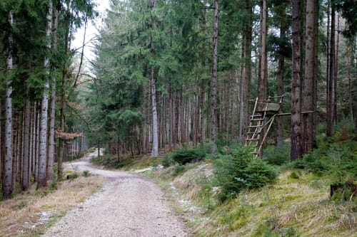 Oberhöhberg