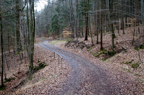 Oberhöhberg
