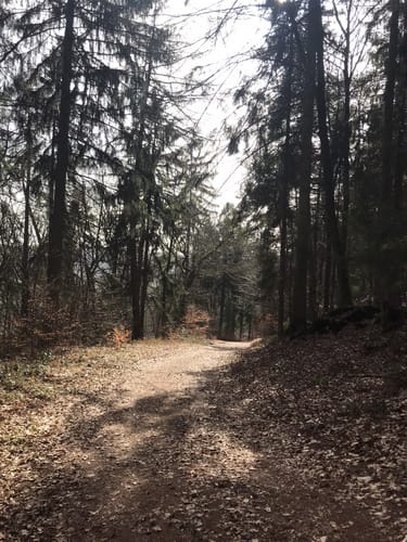 Karlsweg Föhren