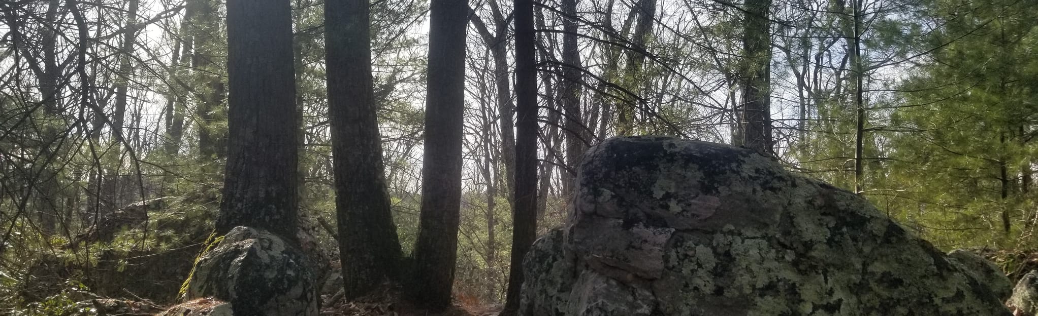 Eagle Rock via Mont Alto Trail, Pennsylvania 45 Reviews, Map AllTrails