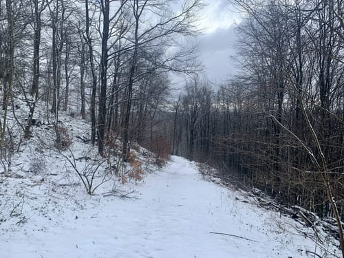 Kaltenbronn: Hohe Acht Runde
