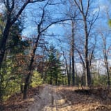 Gladwin ORV Scramble Area, Michigan - 36 Reviews, Map | AllTrails