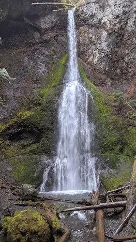 Marymere falls best outlet hikes olympic national park