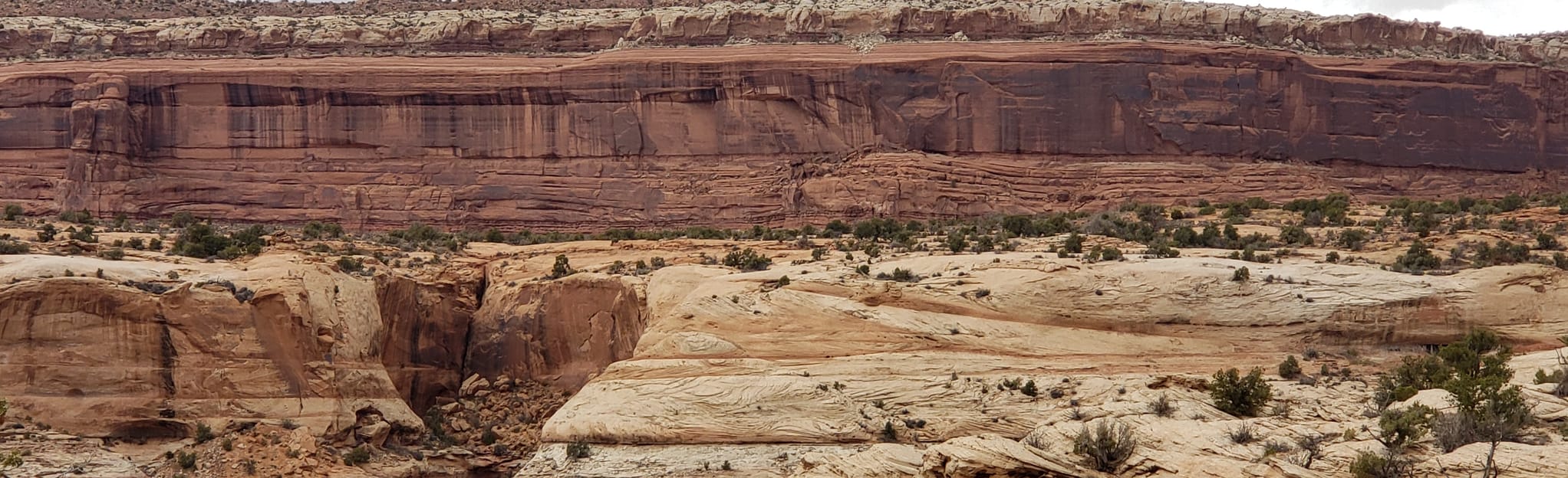 Monitor Butte and Merrimac OHV Trail, 5 Photos Utah AllTrails