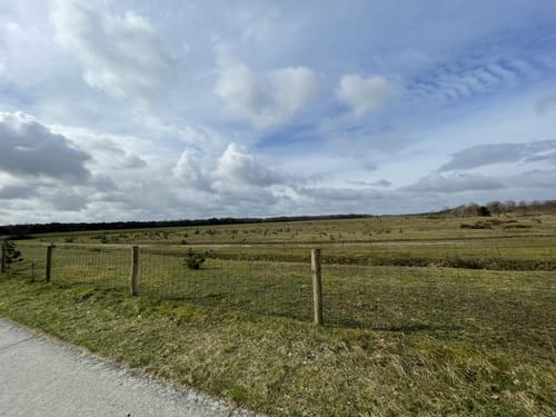Lommerheide - Zwart Water - Krickenbecker Seen Fietsroute