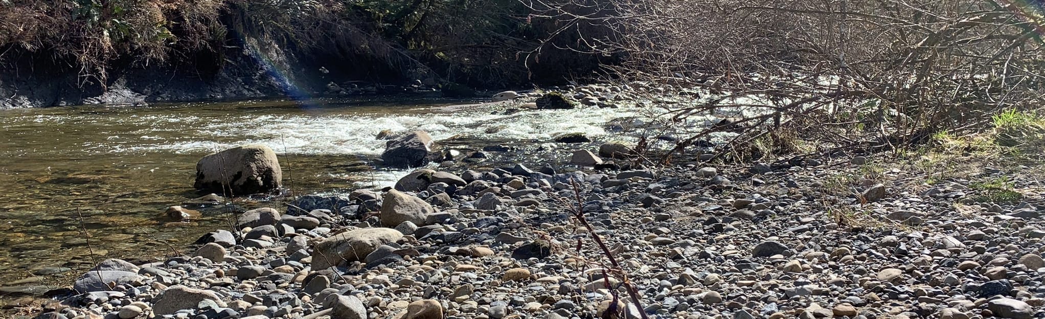 Headquarters Creek Woodlands and Tsolum River 11 Reviews, Map