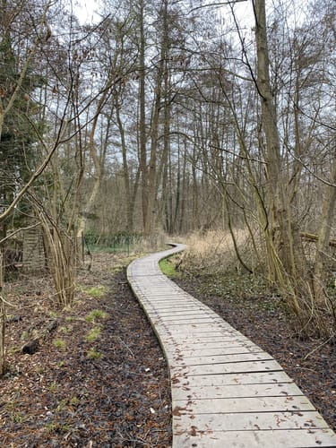 66-Seen-Rundweg Etappe 4: Henningsdorf - Wensickendorf