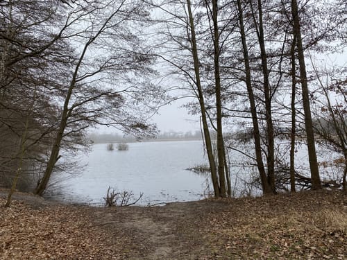66-Seen-Rundweg Etappe 4: Henningsdorf - Wensickendorf